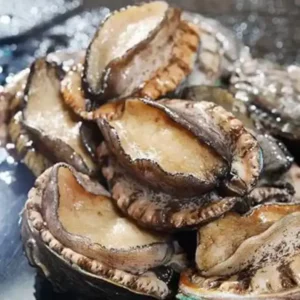 BUY ABALONE ONLINE